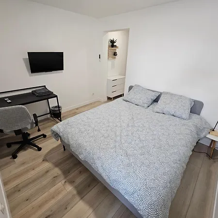 T4 Climatise 3 Avec Parking - Eurexpo Apartment